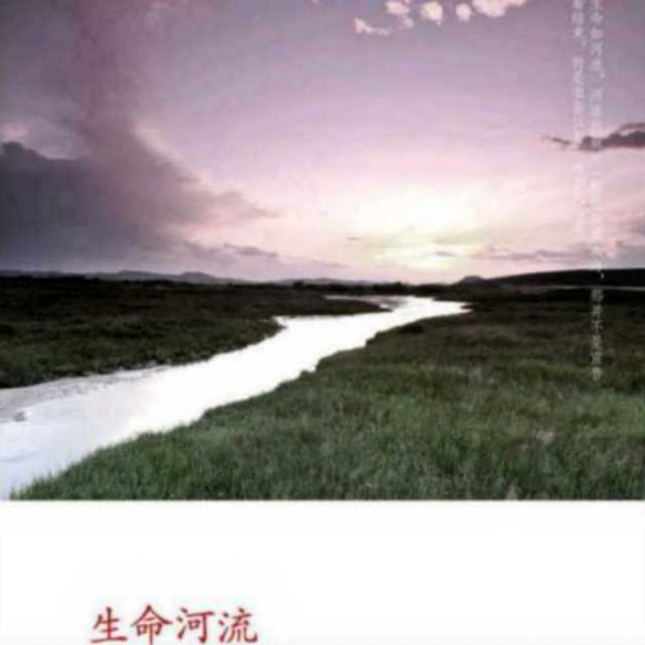生命河流-让一切来得及
