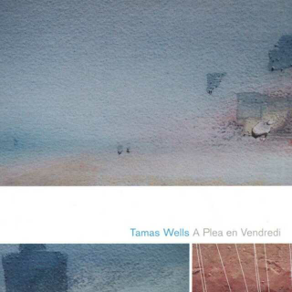 Tamas Wells-Valder Fields