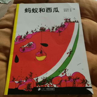 蚂蚁和西瓜🍉