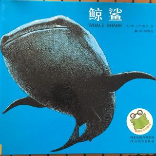 《鲸鲨》－可乐