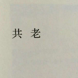 理智和爱情