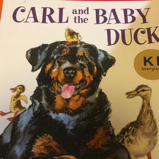 Carl and the Baby Duck