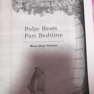 Polar Bears Past Bedtime1-3