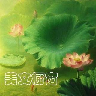 048【美文】草事 || 暮雨