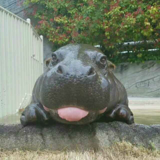 眉间雪剧情版歌曲