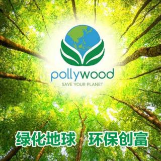 《和财富有约》Pollywood ♻️最新解说～圆梦德沈阳分享