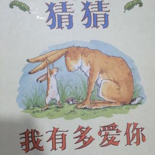 猜猜我有多爱你