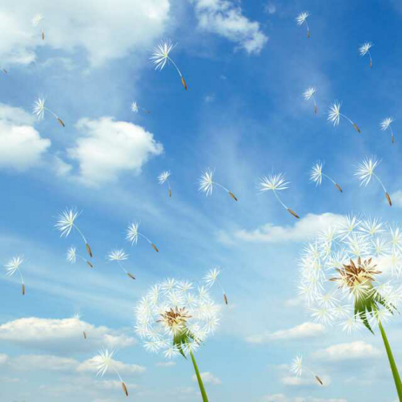 00:00 00:00  21 二冬    春对夏,秋对冬,暮鼓对晨钟.