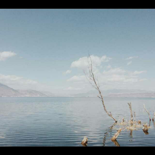 聆听一曲《落雨听禅》，自在安宁，净化心灵！