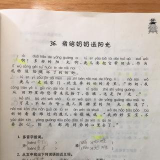 《我给奶奶送阳光》