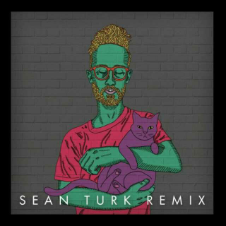 Sean Turk-Sleeping In