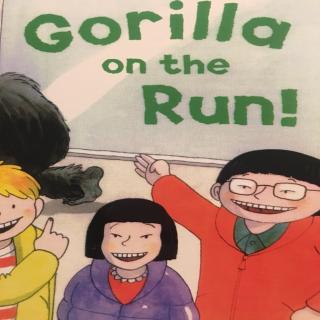 Gorilla on the Run!