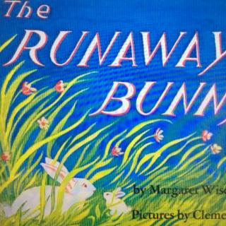 心心讲故事——The Runaway Bunny