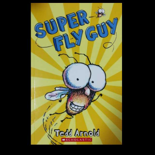 SUPER FLY GUY