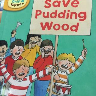 savepuddingwoodselfreading