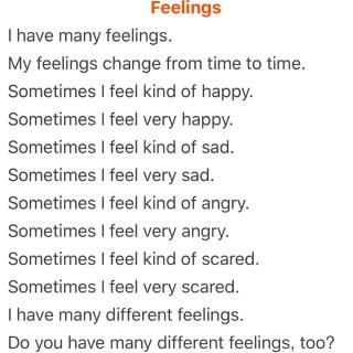 RAZ C：Feelings