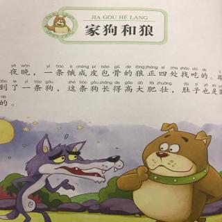 狗和狼的动画片图片