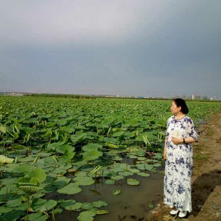 «道德经»妙解第三十二章