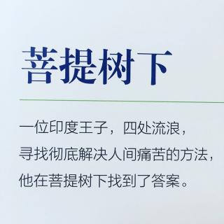 《菩提树下》世界史预习