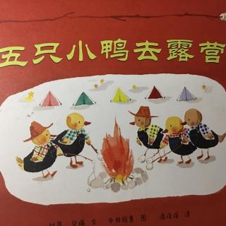 五只小鸭去露营