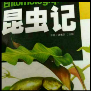 昆虫记第八章