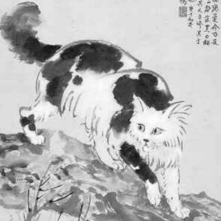 《我的猫，一个诗人》徐志摩