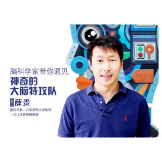 贝安转播第十二讲：为什么人脑长得像核桃