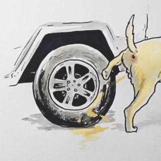 狗尿会让车轮爆胎？