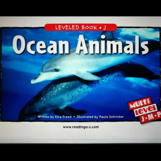 20170704 Ocean Animals - RAZ J