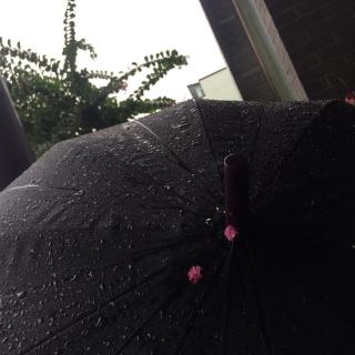 生活如雨，请撑伞前行