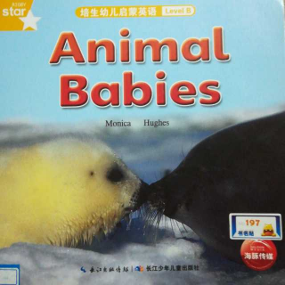 Animal Babies