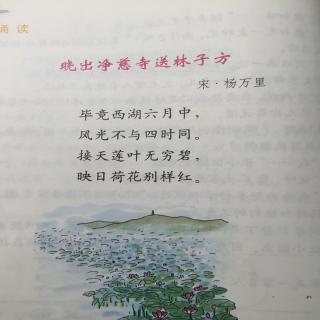 晓出净慈寺送林子方