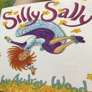 silly sally part1