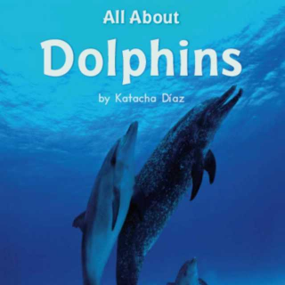 海尼曼G1All About Dolphins