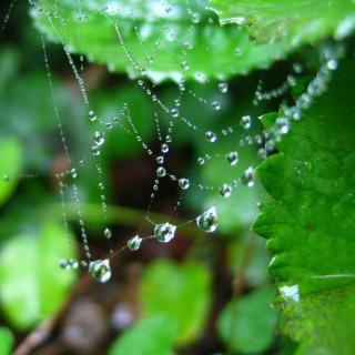 雨滴项链