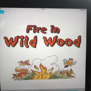 Fire in Wild Wood