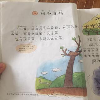 课文6:树和喜鹊