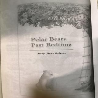 Polar Bears Past Bedtime4-6