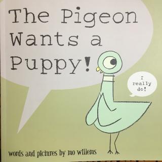 No.110 The pigeon wants a puppy