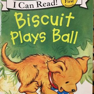 No.111Biscuit plays ball