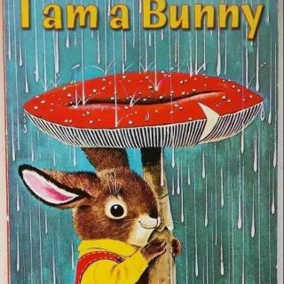 【英语绘本】i am a bunny