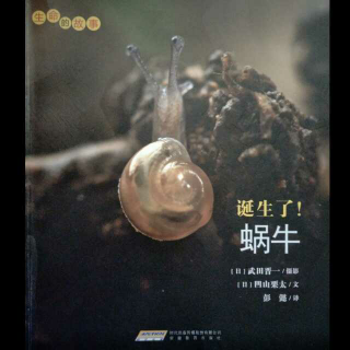 生命的故事《诞生了蜗牛》