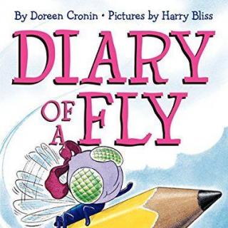 2017.07.04-Diary of a Fly