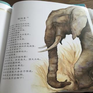 程启诗与故事7～猛犸象