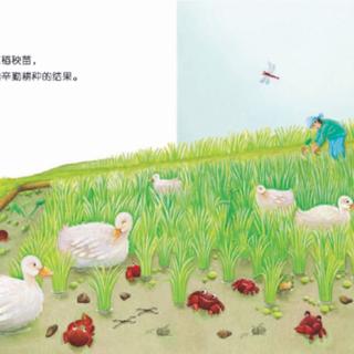 葵花再遇嘎鱼-青铜葵花🌻23曹文轩作品