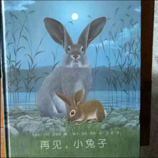☆ 再见，小兔子🐰  下