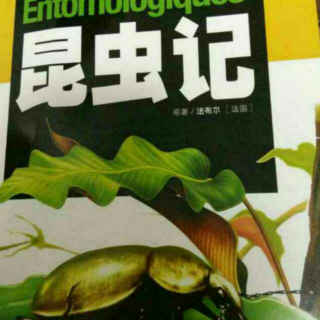 昆虫记第十五章