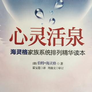 《心灵活泉》（30）第八章 家族系统排列和心灵的移动［8］