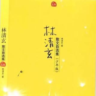 22.《黄昏的沙堡》林清玄－安