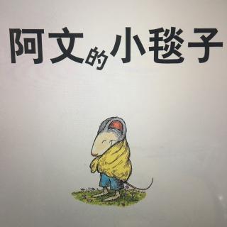 阿文的小毯子